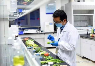 給力！2019全國農業產業化龍頭企業500強發布，徐州這家企業憑借檢驗檢測服務上榜