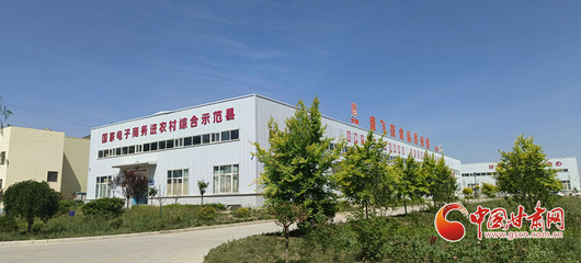 香約慶陽 包容天下丨環縣 以“六統一”模式助推電商發展提檔升級，助力飼料添加劑產業新跨越